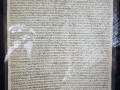 IMG-20250507-WA0012