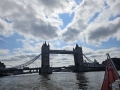 IMG-20250508-WA0007