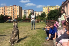 Den s pejsky ve 2.A 12.6.25