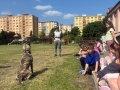 IMG-20250613-WA0023