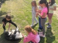 IMG-20250613-WA0025
