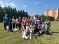 Obrazek-WhatsApp-2025-06-13-v-11.08.20_30208c4b