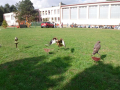 DSCF1402_1_11zon
