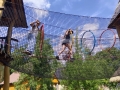 IMG-20250623-WA0007