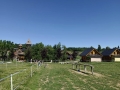 IMG-20250625-WA0006