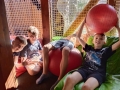 IMG-20250625-WA0017