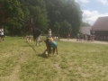 IMG-20250625-WA0025