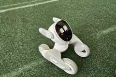 Projektový den s roboty 12. a 13. 5. 2025