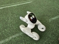 IMG-20250513-WA0016