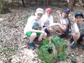 IMG-20250618-WA0026